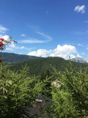 Naturlandschaft in der Nähe der Ferienwohnung