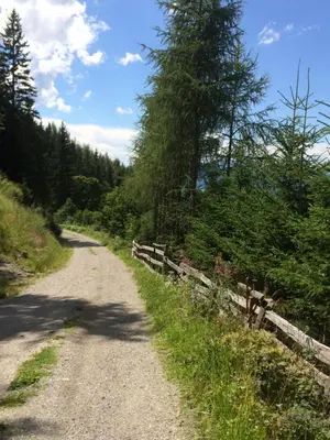 Naturlandschaft in der Nähe der Ferienwohnung