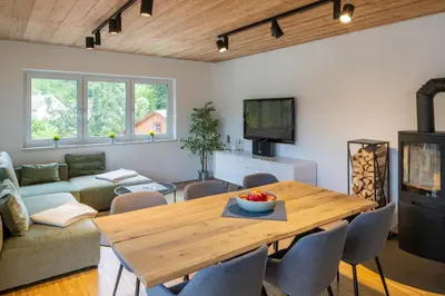 TV/Unterhaltungsangebot in der Unterkunft Apartment Panoramahirsch