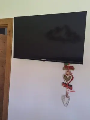 TV/Unterhaltungsangebot in der Unterkunft Bergliebe