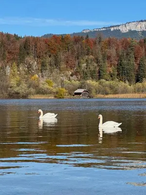 Naturlandschaft in der Nähe des Ferienhauses