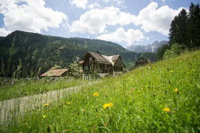 Naturlandschaft in der Nähe des Ferienhauses