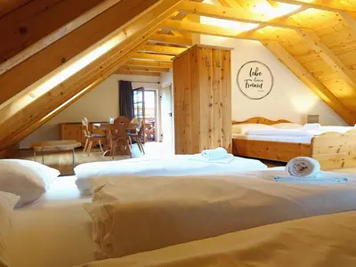 Ein Bett oder Betten in einem Zimmer der Unterkunft Hochgolling Loft