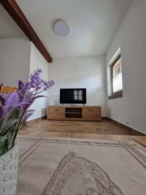TV/Unterhaltungsangebot in der Unterkunft Haus-Ennstal