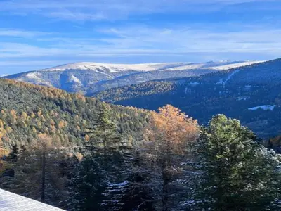 Naturlandschaft in der Nähe des Chalets