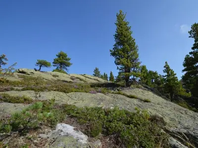 Naturlandschaft in der Nähe des Chalets