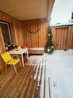 Stadtfüchse plus Sauna im Winter