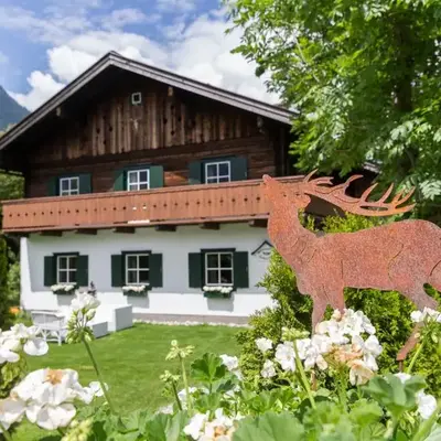 Forest Chalet