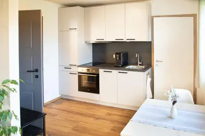 Küche/Küchenzeile in der Unterkunft Moosaik Appartements
