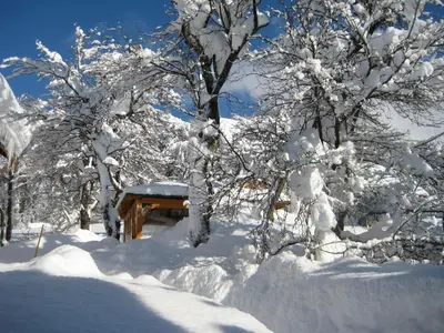 Haus Schrei im Winter