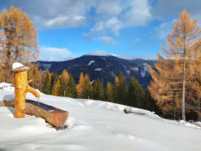 Naturlandschaft in der Nähe der Ferienwohnung