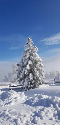 Sportpension Alpenrose im Winter