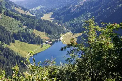 Naturlandschaft in der Nähe des Bauernhofs