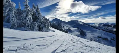 Haus Schartner Flachau im Winter