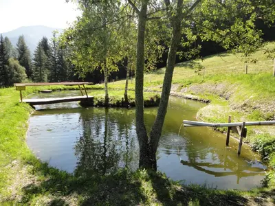Naturlandschaft in der Nähe des Bauernhofs