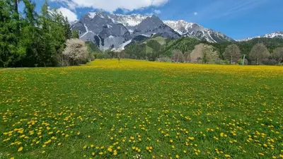 Naturlandschaft in der Nähe der Ferienwohnung