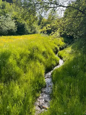 Naturlandschaft in der Nähe der Ferienwohnung
