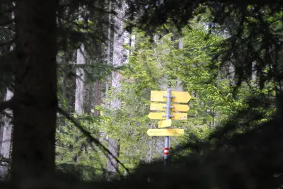 Naturlandschaft in der Nähe der Ferienwohnung