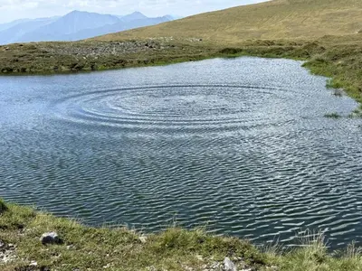 Naturlandschaft in der Nähe des Ferienhauses