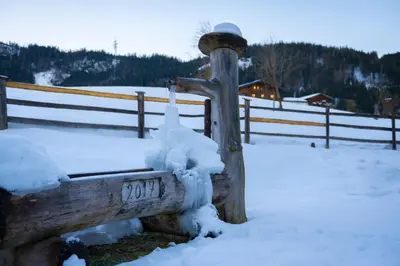 Almfrieden im Winter