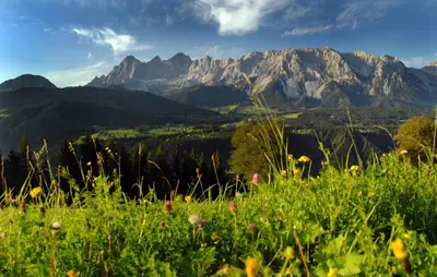 Ein allgemeiner Bergblick oder ein Berglick von der Ferienwohnung aus
