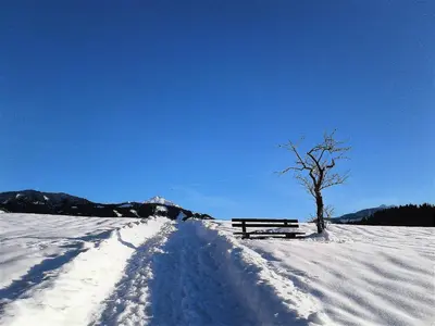 Appartement Berndlhof Mitterberg - Gröbming - Schladming im Winter