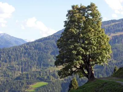 Naturlandschaft in der Nähe der Ferienwohnung