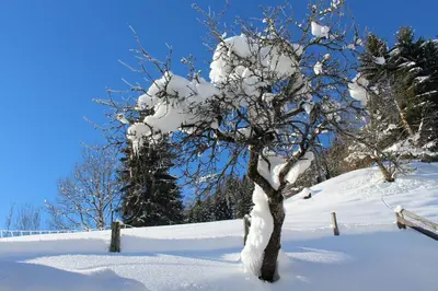 Laubichlhof im Winter
