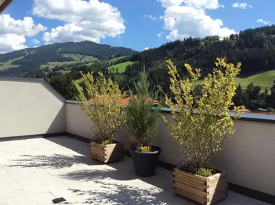 Ein allgemeiner Bergblick oder ein Berglick von der Ferienwohnung aus