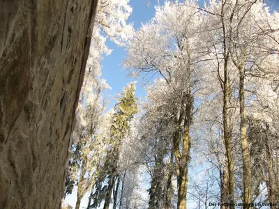 Landgasthof Spitzerwirt im Winter