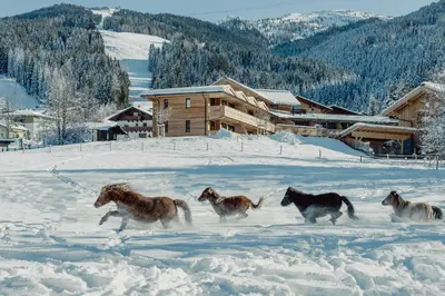 Mariengut - Natur Aparthotel Kramer im Winter