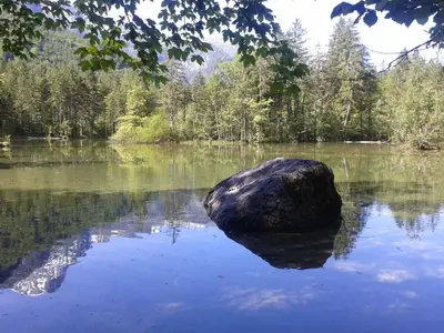 Naturlandschaft in der Nähe der Pension