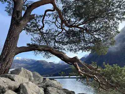 Naturlandschaft in der Nähe des Ferienhauses