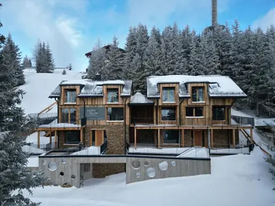 Luxus AlmChalets Schladming-Dachstein im Winter