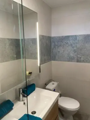 Ein Badezimmer in der Unterkunft 1 Zimmer Appartement nahe Gmunden Top2