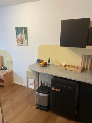 Küche/Küchenzeile in der Unterkunft 1 Zimmer Appartement nahe Gmunden Top2