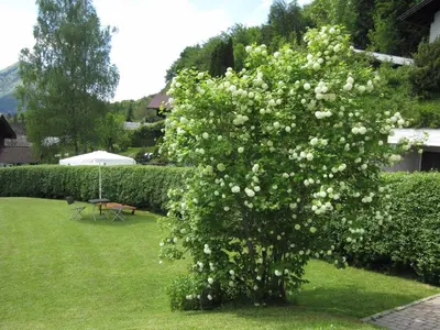 Ein Garten an der Unterkunft Angela Siedl