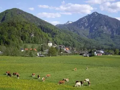 Tiere in der Ferienwohnung oder in der Nähe