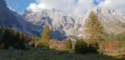 Naturlandschaft in der Nähe der Ferienwohnung