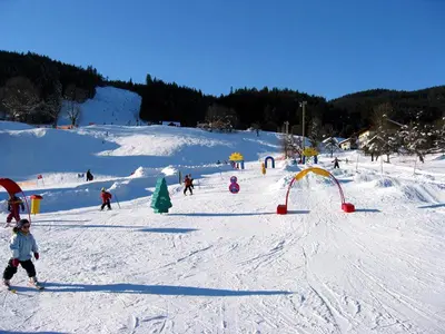 Skifahren in der Ferienwohnung oder in der Nähe