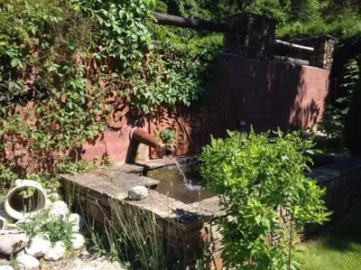 Ein Garten an der Unterkunft Landhaus Tamberg zur Alleinnutzung