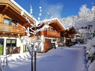Chalets AurAlpin im Winter