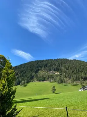Naturlandschaft in der Nähe der Pension