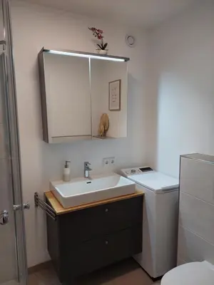 Ein Badezimmer in der Unterkunft Lenau Apartment