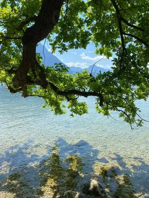 Naturlandschaft in der Nähe der Ferienwohnung