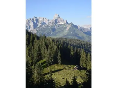 Naturlandschaft in der Nähe des Ferienhauses