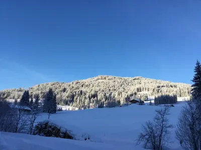 Naturlandschaft in der Nähe der Ferienwohnung