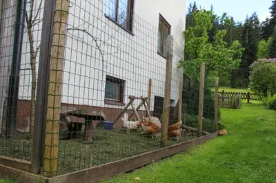 Ein Garten an der Unterkunft Frieda's Platzl