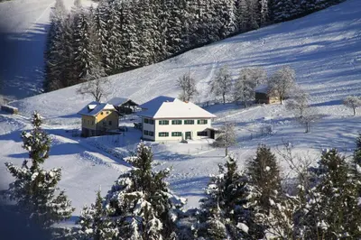 Grundriss der Unterkunft Sommerholz