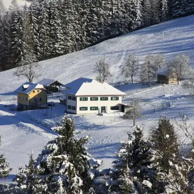 Sommerholz